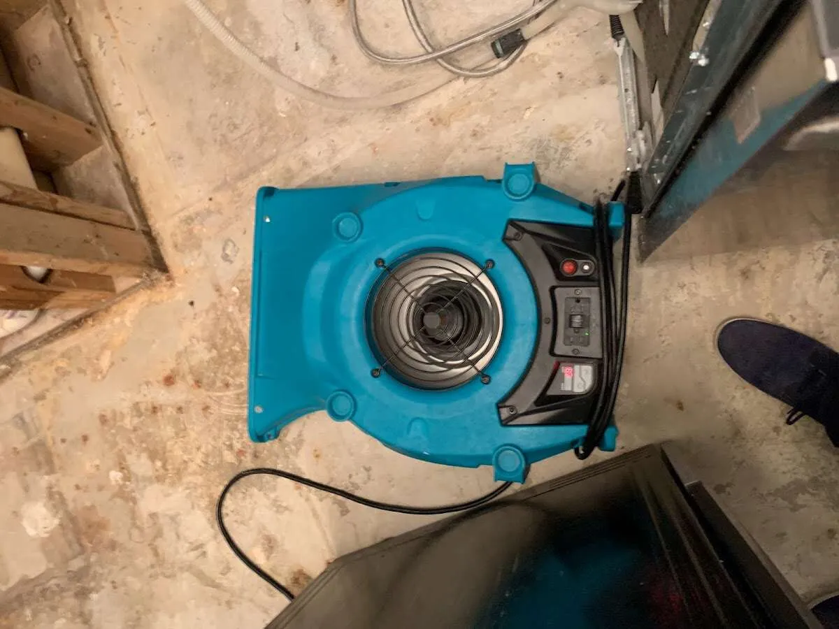 Air mover drying equipment for Mold Remediation & Removal in Seven Hills