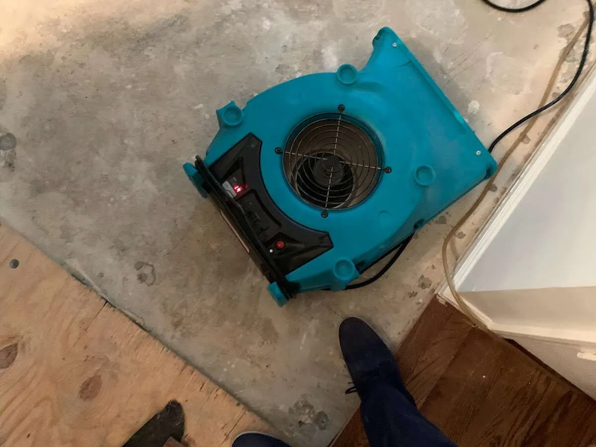 Air mover drying subfloor during Leak Detection & Repair in Seven Hills